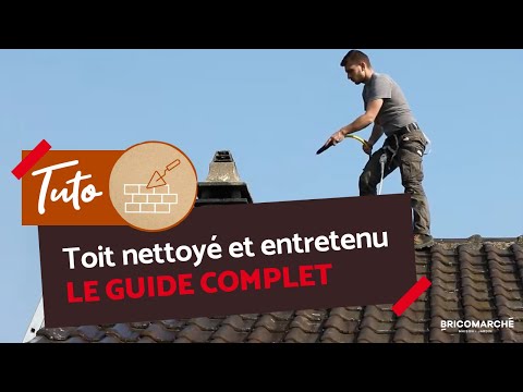 Comment enlever la mousse du toit ? I Bricomarché