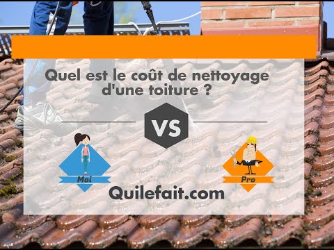 Prix d'un nettoyage de toiture : Par moi ou par un pro ?
