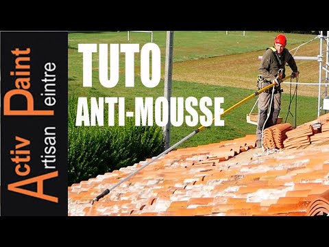 ANTI-MOUSSE TOITURE démousser un toit PRODUIT NETTOYAGE TOITURE